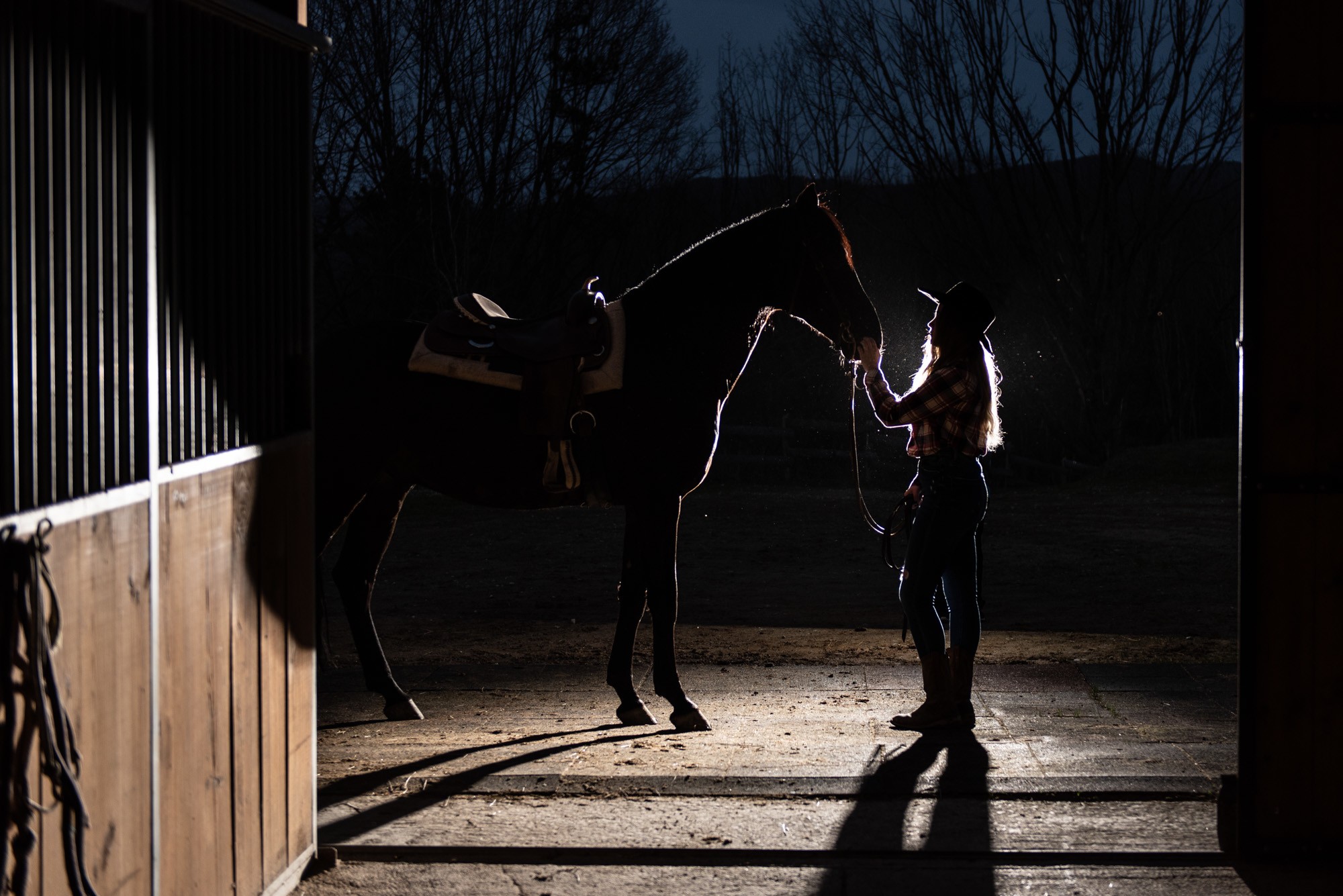 caballo cuadra silueta